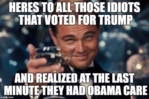 Leonardo Dicaprio Cheers Meme | HERES TO ALL THOSE IDIOTS THAT VOTED FOR TRUMP; AND REALIZED AT THE LAST MINUTE THEY HAD OBAMA CARE | image tagged in memes,leonardo dicaprio cheers | made w/ Imgflip meme maker