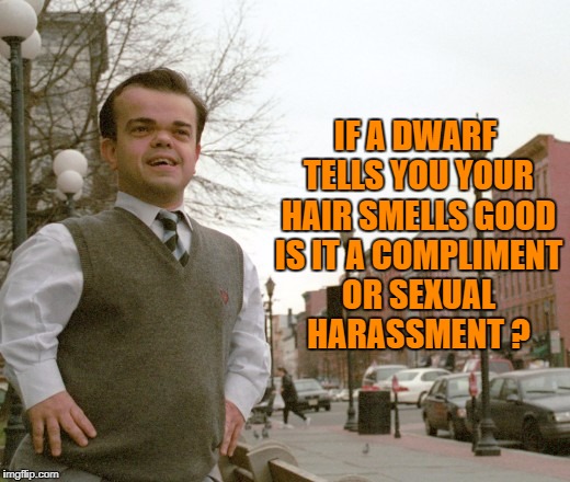 dwarf | IF A DWARF TELLS YOU YOUR HAIR SMELLS GOOD IS IT A COMPLIMENT OR SEXUAL HARASSMENT ? | image tagged in dwarf,compliment,insult,sexual harassment,funny,funny memes | made w/ Imgflip meme maker