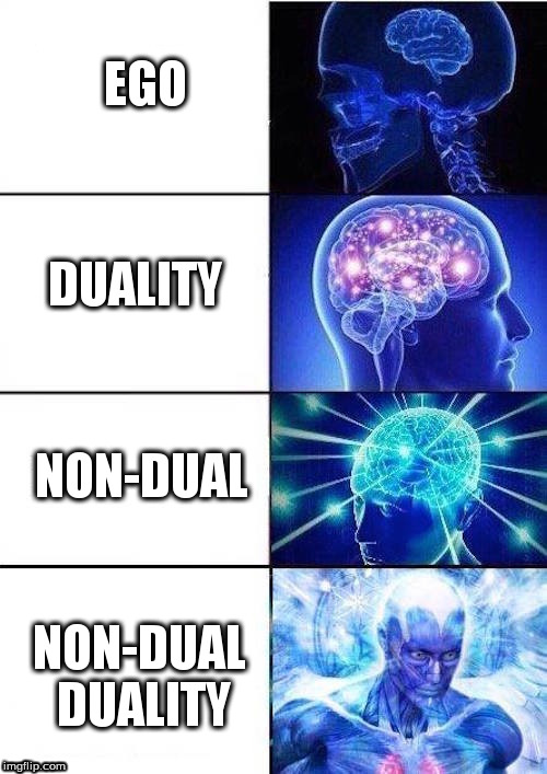 Brain Mind Expanding | EGO; DUALITY; NON-DUAL; NON-DUAL DUALITY | image tagged in brain mind expanding | made w/ Imgflip meme maker