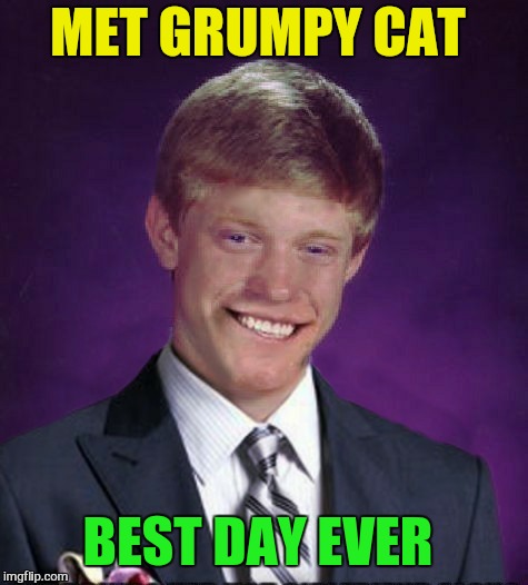 MET GRUMPY CAT BEST DAY EVER | made w/ Imgflip meme maker