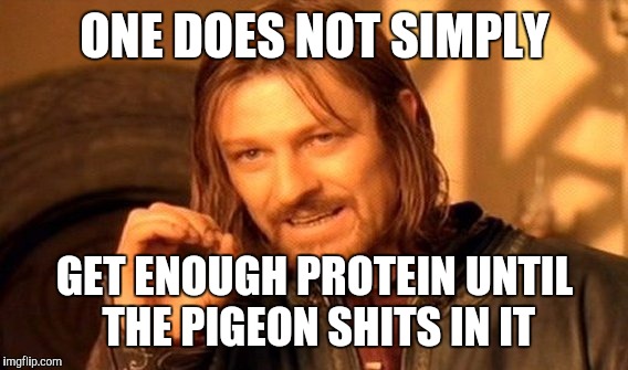 One Does Not Simply Meme | ONE DOES NOT SIMPLY GET ENOUGH PROTEIN UNTIL THE PIGEON SHITS IN IT | image tagged in memes,one does not simply | made w/ Imgflip meme maker