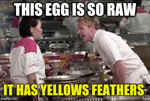 Angry Chef Gordon Ramsay | THIS EGG IS SO RAW; IT HAS YELLOWS FEATHERS | image tagged in memes,angry chef gordon ramsay | made w/ Imgflip meme maker