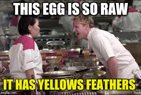 Angry Chef Gordon Ramsay Meme | THIS EGG IS SO RAW; IT HAS YELLOWS FEATHERS | image tagged in memes,angry chef gordon ramsay | made w/ Imgflip meme maker