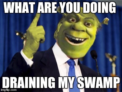 Shrek For President | WHAT ARE YOU DOING; DRAINING MY SWAMP | image tagged in shrek for president | made w/ Imgflip meme maker