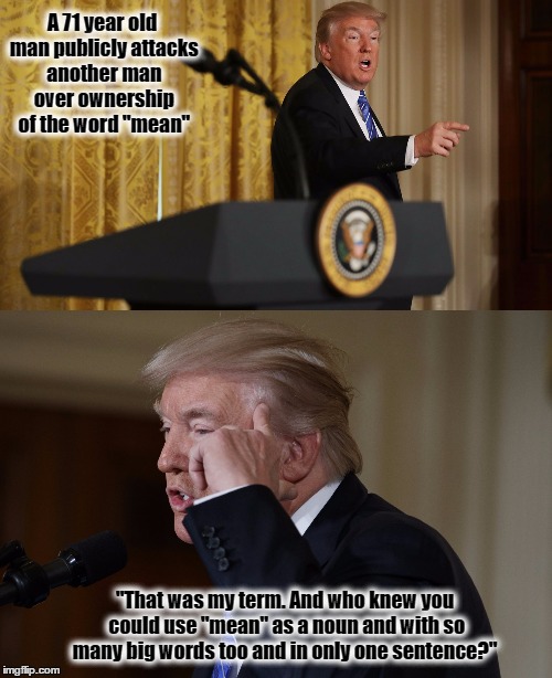 Whiner in Chief  | A 71 year old man publicly attacks another man over ownership of the word "mean"; "That was my term. And who knew you could use "mean" as a noun and with so many big words too and in only one sentence?" | image tagged in obama,donald trump,mean,resist,trumpwhine | made w/ Imgflip meme maker