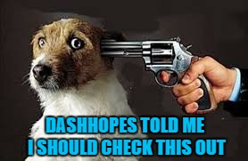 DASHHOPES TOLD ME I SHOULD CHECK THIS OUT | made w/ Imgflip meme maker