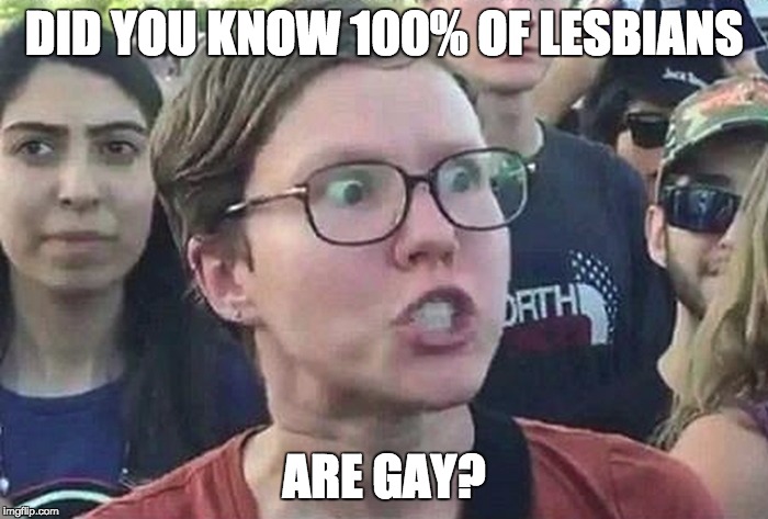 Triggered Liberal | DID YOU KNOW 100% OF LESBIANS; ARE GAY? | image tagged in triggered liberal | made w/ Imgflip meme maker