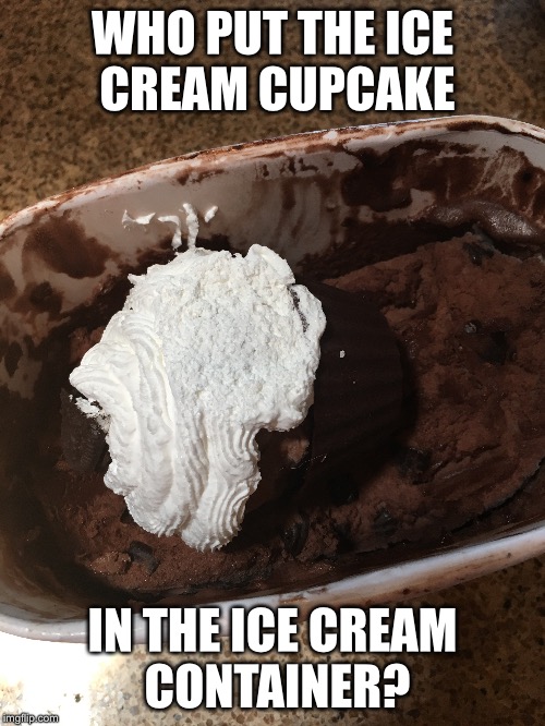 Ice cream cupcake: Ice cream in a chocolate cup with cake crumbs, frosting, & toppings. | WHO PUT THE ICE CREAM CUPCAKE; IN THE ICE CREAM CONTAINER? | image tagged in ice cream,cupcakes,true story | made w/ Imgflip meme maker