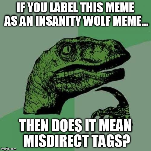 IF YOU LABEL THIS MEME AS AN INSANITY WOLF MEME... THEN DOES IT MEAN MISDIRECT TAGS? | image tagged in memes,philosoraptor | made w/ Imgflip meme maker
