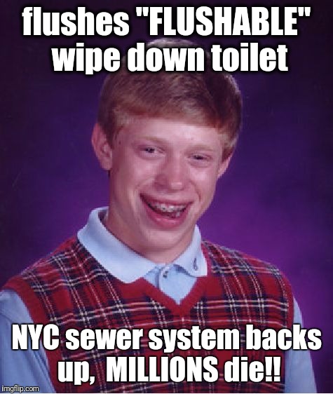 Bad Luck Brian | flushes "FLUSHABLE" wipe down toilet; NYC sewer system backs up,  MILLIONS die!! | image tagged in memes,bad luck brian | made w/ Imgflip meme maker