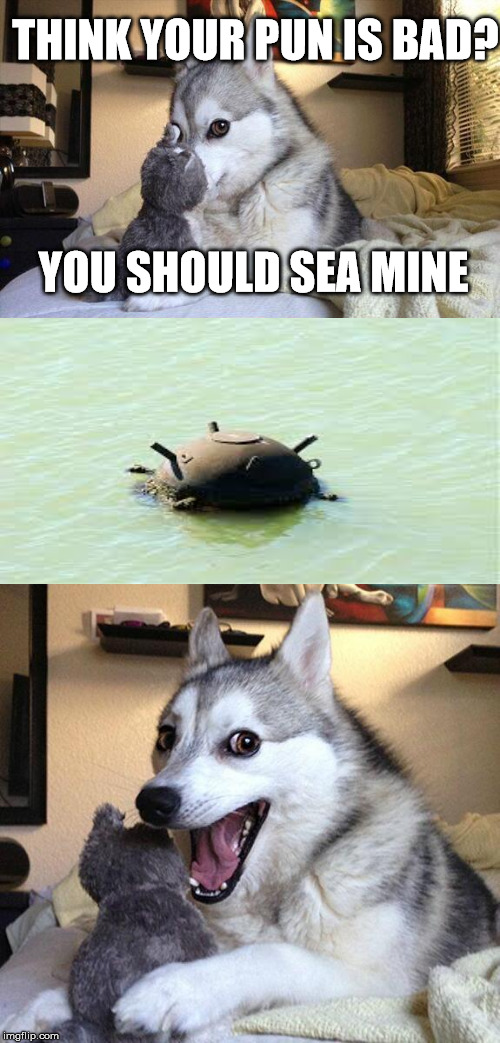 Bad Pun Dog Meme | THINK YOUR PUN IS BAD? YOU SHOULD SEA MINE | image tagged in memes,bad pun dog | made w/ Imgflip meme maker