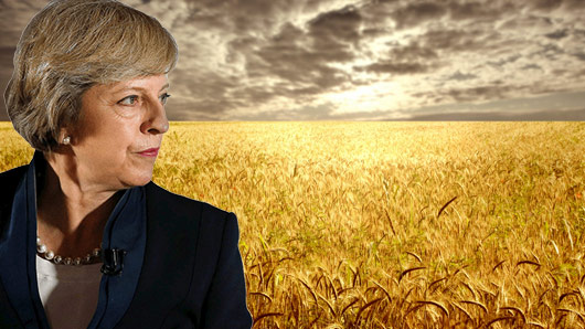 Theresa May Wheatfields Blank Meme Template