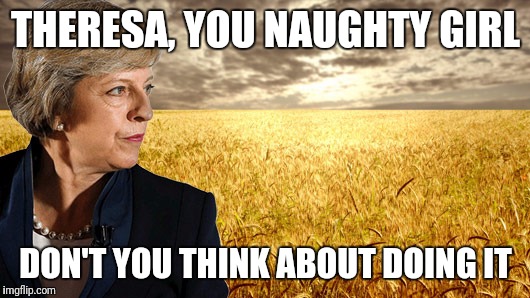 Theresa May Wheatfields | THERESA, YOU NAUGHTY GIRL; DON'T YOU THINK ABOUT DOING IT | image tagged in theresa may wheatfields | made w/ Imgflip meme maker