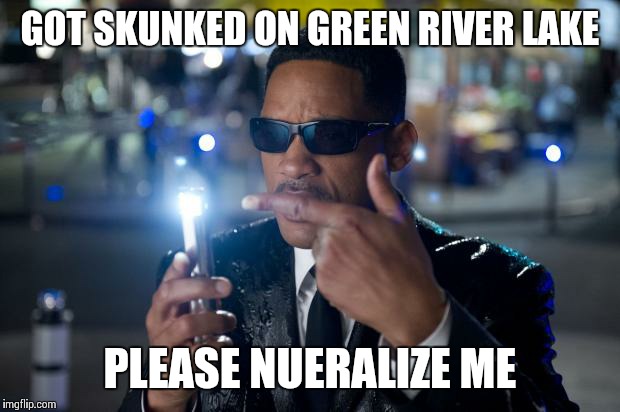 will smith mib | GOT SKUNKED ON GREEN RIVER LAKE; PLEASE NUERALIZE ME | image tagged in will smith mib | made w/ Imgflip meme maker