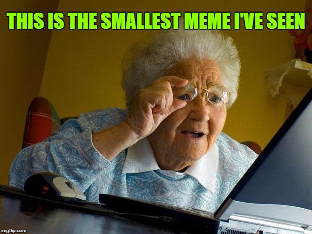 Grandma Finds The Internet Meme | THIS IS THE SMALLEST MEME I'VE SEEN | image tagged in memes,grandma finds the internet | made w/ Imgflip meme maker
