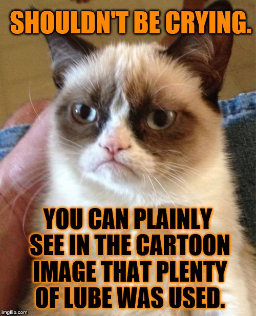 SHOULDN'T BE CRYING. YOU CAN PLAINLY SEE IN THE CARTOON IMAGE THAT PLENTY OF LUBE WAS USED. | made w/ Imgflip meme maker