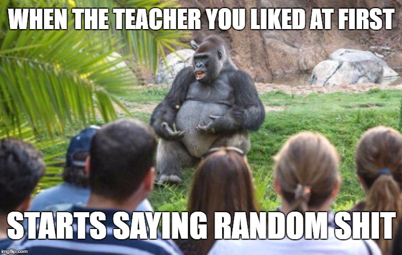 WHEN THE TEACHER YOU LIKED AT FIRST; STARTS SAYING RANDOM SHIT | image tagged in gorilla lecture | made w/ Imgflip meme maker