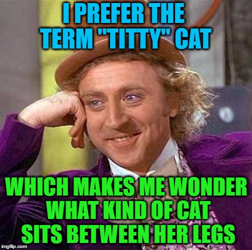 Creepy Condescending Wonka Meme | I PREFER THE TERM "TITTY" CAT WHICH MAKES ME WONDER WHAT KIND OF CAT SITS BETWEEN HER LEGS | image tagged in memes,creepy condescending wonka | made w/ Imgflip meme maker