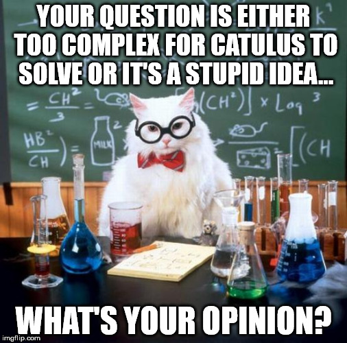 Chemistry Cat Meme | YOUR QUESTION IS EITHER TOO COMPLEX FOR CATULUS TO SOLVE OR IT'S A STUPID IDEA... WHAT'S YOUR OPINION? | image tagged in memes,chemistry cat | made w/ Imgflip meme maker