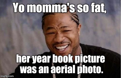 Yo Dawg Heard You Meme | Yo momma's so fat, her year book picture was an aerial photo. | image tagged in memes,yo dawg heard you | made w/ Imgflip meme maker