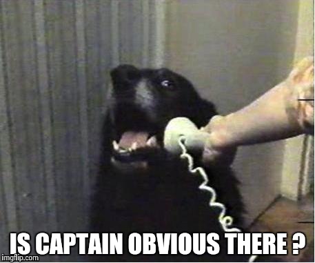 It's for you | IS CAPTAIN OBVIOUS THERE ? | image tagged in it's for you | made w/ Imgflip meme maker