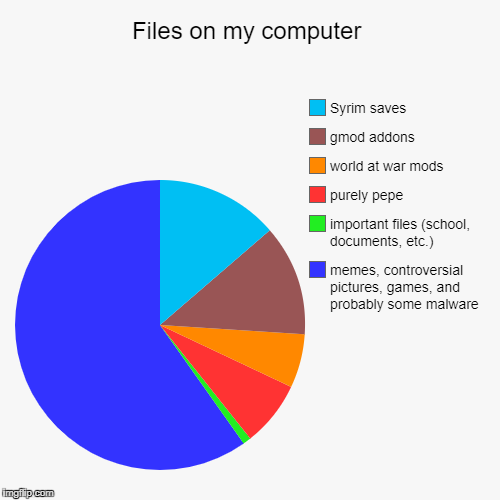 Files on my computer | image tagged in funny,pie charts | made w/ Imgflip chart maker