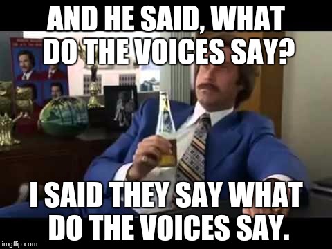 Well That Escalated Quickly | AND HE SAID, WHAT DO THE VOICES SAY? I SAID THEY SAY WHAT DO THE VOICES SAY. | image tagged in memes,well that escalated quickly | made w/ Imgflip meme maker