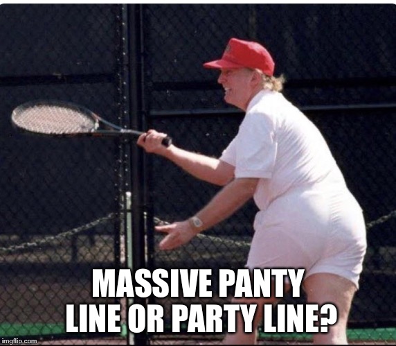 MASSIVE PANTY LINE OR PARTY LINE? | image tagged in trump's mammoth panty line | made w/ Imgflip meme maker