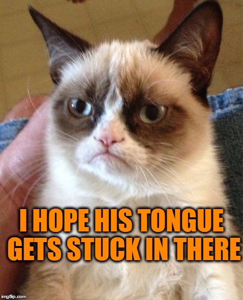 Grumpy Cat Meme | I HOPE HIS TONGUE GETS STUCK IN THERE | image tagged in memes,grumpy cat | made w/ Imgflip meme maker