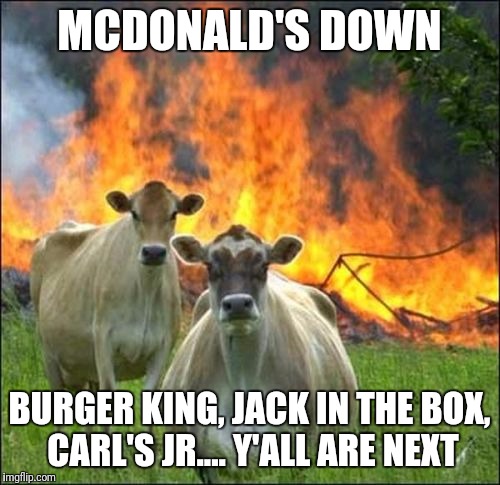 Evil Cows Meme | MCDONALD'S DOWN; BURGER KING, JACK IN THE BOX, CARL'S JR.... Y'ALL ARE NEXT | image tagged in memes,evil cows | made w/ Imgflip meme maker