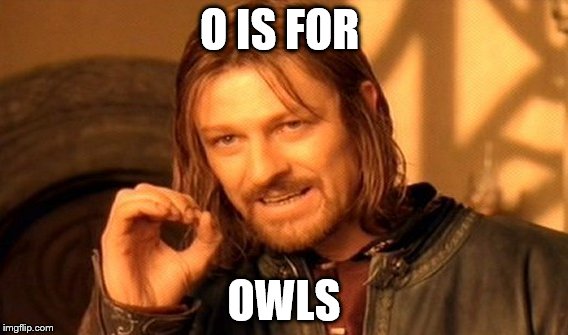 One Does Not Simply Meme | O IS FOR; OWLS | image tagged in memes,one does not simply | made w/ Imgflip meme maker