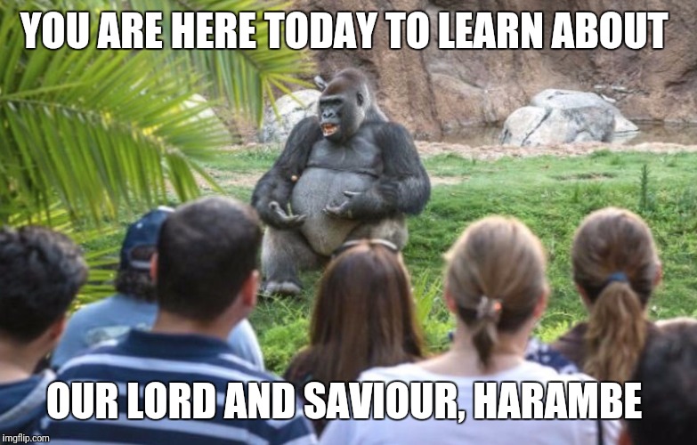 YOU ARE HERE TODAY TO LEARN ABOUT; OUR LORD AND SAVIOUR, HARAMBE | image tagged in memes | made w/ Imgflip meme maker