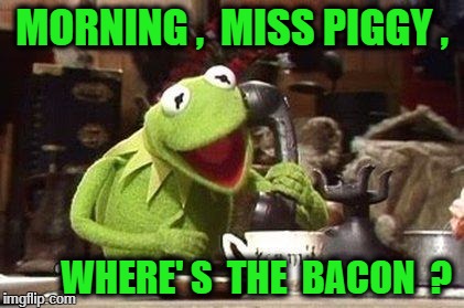 kermit the frog over the phone | MORNING ,  MISS PIGGY , WHERE' S  THE  BACON  ? | image tagged in kermit the frog over the phone | made w/ Imgflip meme maker
