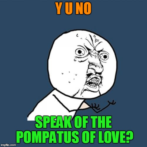 Y U No Meme | Y U NO SPEAK OF THE POMPATUS OF LOVE? | image tagged in memes,y u no | made w/ Imgflip meme maker