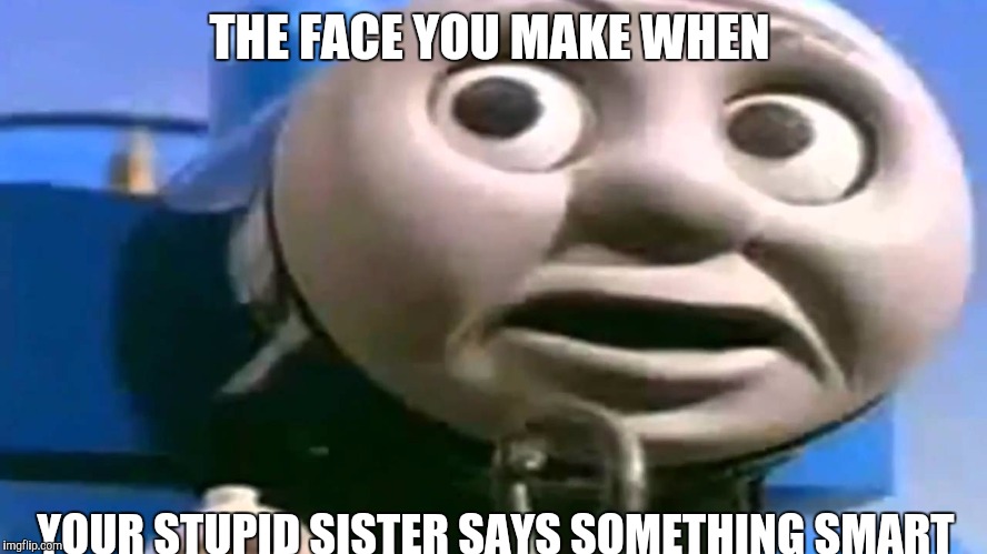 Stupid sister | THE FACE YOU MAKE WHEN; YOUR STUPID SISTER SAYS SOMETHING SMART | image tagged in stupid sister | made w/ Imgflip meme maker