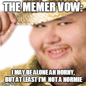 The Memer Vow | THE MEMER VOW:; I MAY BE ALONE AN HORNY, BUT AT LEAST I'M  NOT A NORMIE | image tagged in reddit user gold | made w/ Imgflip meme maker