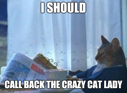 It's been a week | I SHOULD; CALL BACK THE CRAZY CAT LADY | image tagged in memes,i should buy a boat cat,crazy cat lady | made w/ Imgflip meme maker
