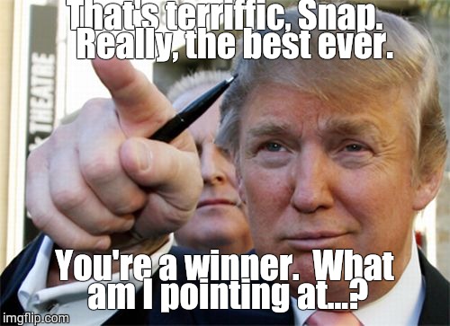 Donald Winning Trump | That's terriffic, Snap. 

Really, the best ever. You're a winner.

What am I pointing at...? | image tagged in donald winning trump | made w/ Imgflip meme maker