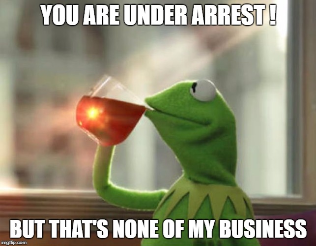 But That's None Of My Business (Neutral) | YOU ARE UNDER ARREST ! BUT THAT'S NONE OF MY BUSINESS | image tagged in memes,but thats none of my business neutral | made w/ Imgflip meme maker