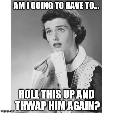 AM I GOING TO HAVE TO... ROLL THIS UP AND THWAP HIM AGAIN? | made w/ Imgflip meme maker