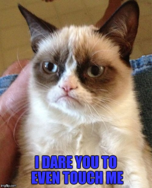 Grumpy Cat Meme | I DARE YOU TO EVEN TOUCH ME | image tagged in memes,grumpy cat | made w/ Imgflip meme maker