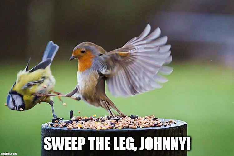 SWEEP THE LEG, JOHNNY! | made w/ Imgflip meme maker