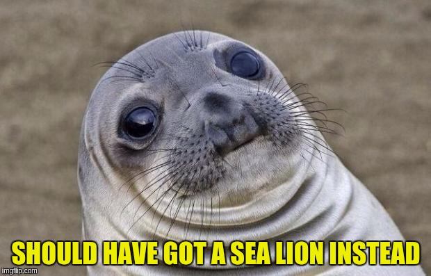 Awkward Moment Sealion Meme | SHOULD HAVE GOT A SEA LION INSTEAD | image tagged in memes,awkward moment sealion | made w/ Imgflip meme maker