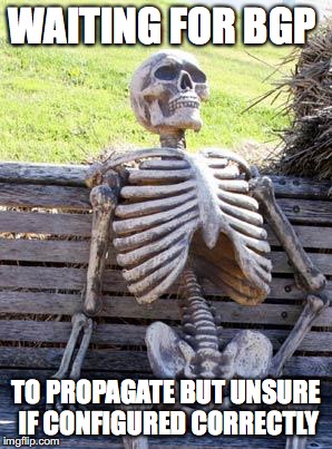 Waiting Skeleton Meme | WAITING FOR BGP; TO PROPAGATE BUT UNSURE IF CONFIGURED CORRECTLY | image tagged in memes,waiting skeleton | made w/ Imgflip meme maker