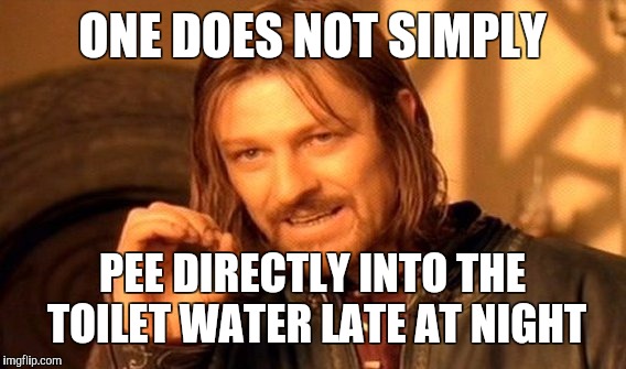 One Does Not Simply Meme | ONE DOES NOT SIMPLY; PEE DIRECTLY INTO THE TOILET WATER LATE AT NIGHT | image tagged in memes,one does not simply | made w/ Imgflip meme maker