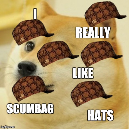 Doge Meme | I; REALLY; LIKE; SCUMBAG; HATS | image tagged in memes,doge,scumbag | made w/ Imgflip meme maker