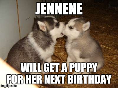 Cute Puppies Meme | JENNENE; WILL GET A PUPPY FOR HER NEXT BIRTHDAY | image tagged in memes,cute puppies | made w/ Imgflip meme maker