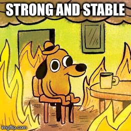 Dog in burning house | STRONG AND STABLE | image tagged in dog in burning house | made w/ Imgflip meme maker