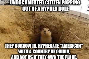 Senor La Tuza | UNDOCUMENTED CITIZEN POPPING OUT OF A HYPHEN HOLE; THEY BURROW IN, HYPHENATE "AMERICAN" WITH A COUNTRY OF ORIGIN, AND ACT AS IF THEY OWN THE PLACE. | image tagged in secure the border | made w/ Imgflip meme maker