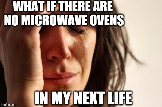 First World Problems Meme | WHAT IF THERE ARE NO MICROWAVE OVENS; IN MY NEXT LIFE | image tagged in memes,first world problems | made w/ Imgflip meme maker